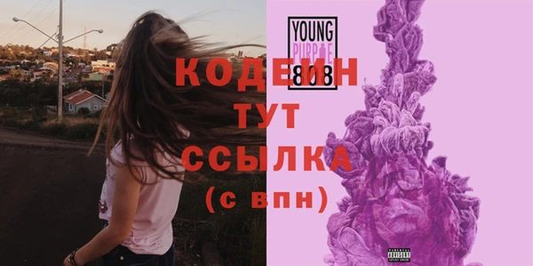 дурь Ладушкин