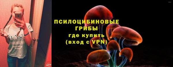 шишки Алексеевка
