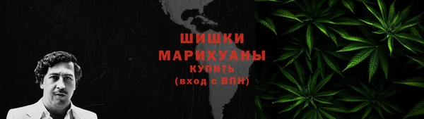 ПСИЛОЦИБИНОВЫЕ ГРИБЫ Лагань